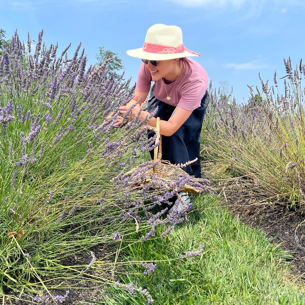 Meet your Posher, Dana